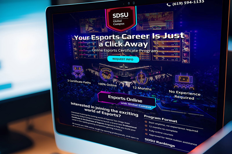Closeup of monitor showing the esports landing page